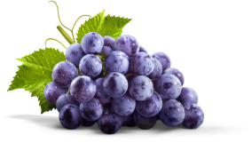 grapes--promo